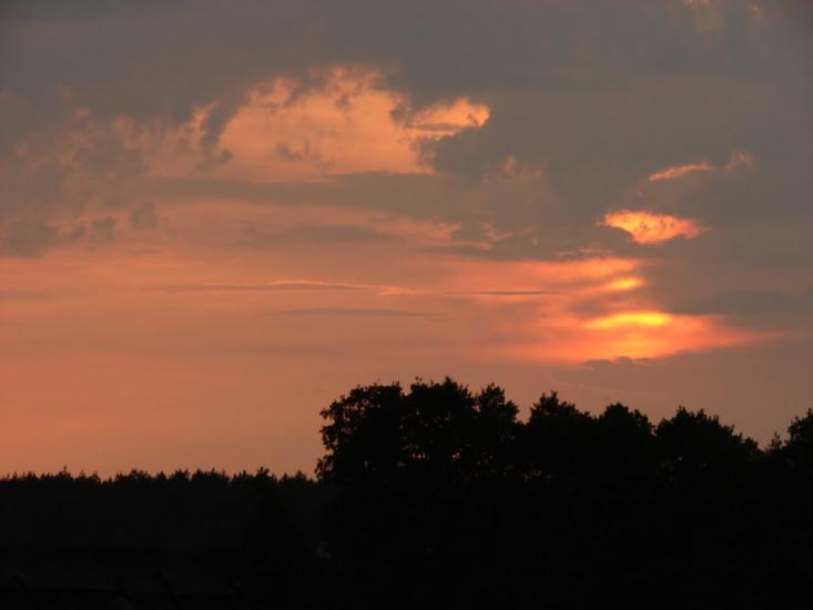 Борова з panoramio.com - Борова