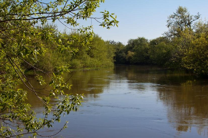 Свяття з panoramio.com - Свяття