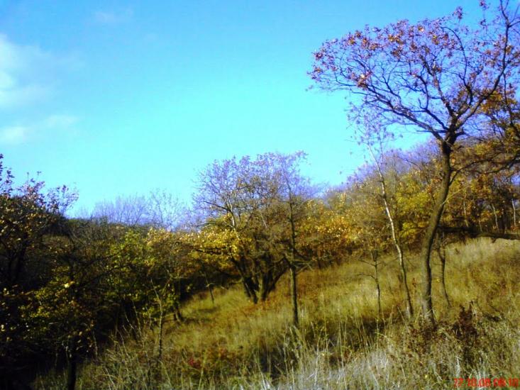 Харцизьк з panoramio.com - Харцызск
