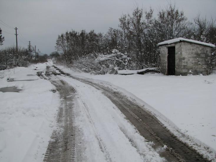 Зайцеве з panoramio.com - Зайцеве