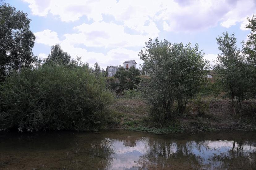 Каштани з panoramio.com - Каштани
