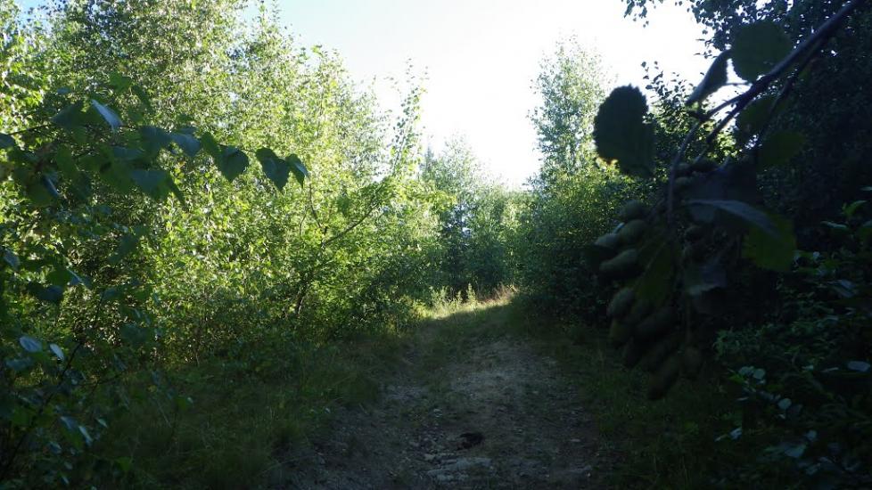 Завийка з panoramio.com - Завийка