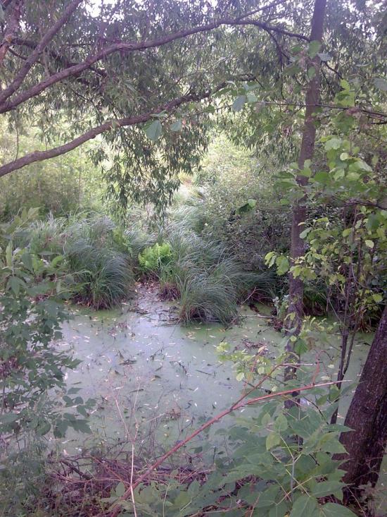 Землянка з panoramio.com - Землянка