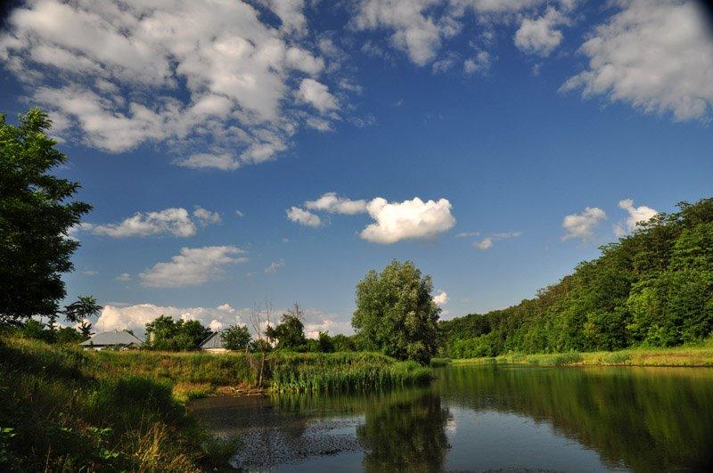 Безбородьки з panoramio.com - Безбородьки