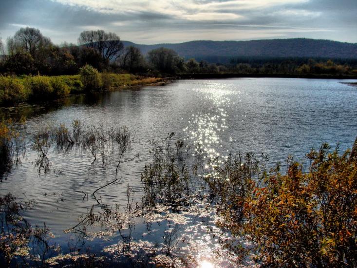 Черемошня з panoramio.com - Черемошня