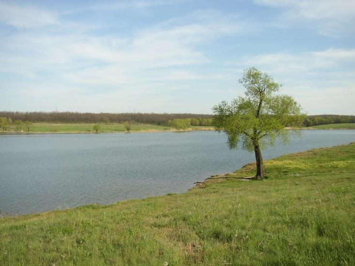 Лутугине з panoramio.com - Lutugino