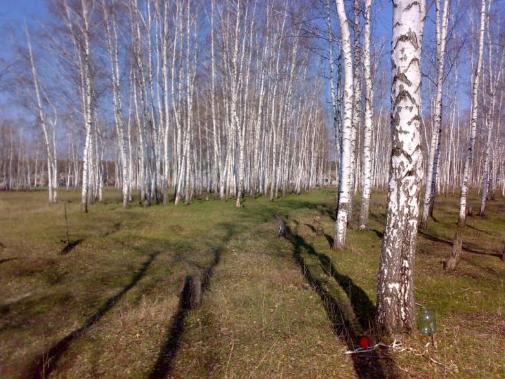Мерефа з panoramio.com - Мерефа