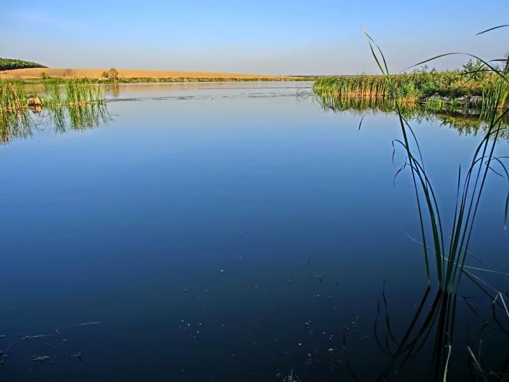 Балахівка з panoramio.com - Балаховка