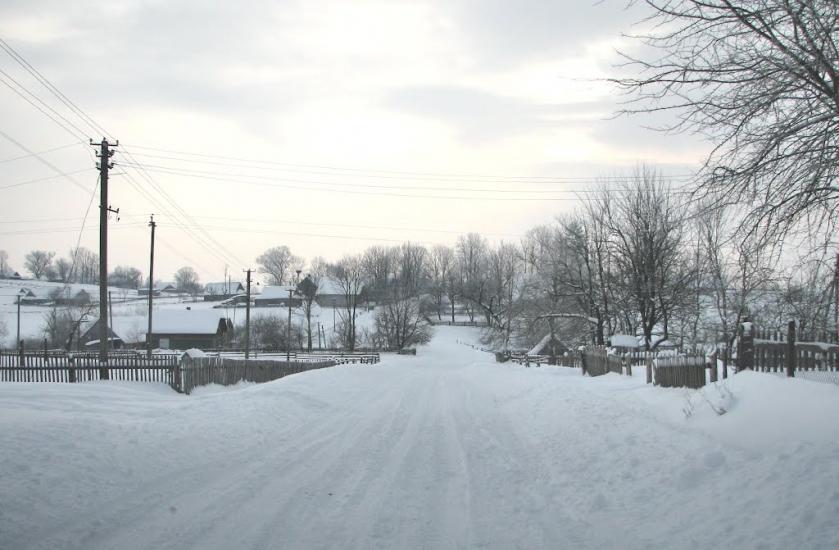 Шандровець з panoramio.com - Шандровец