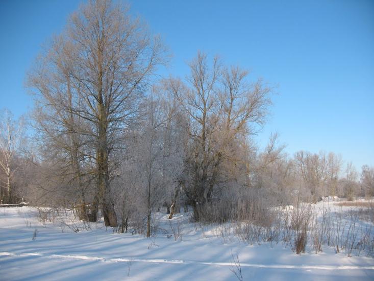 Осіч з panoramio.com - Osich