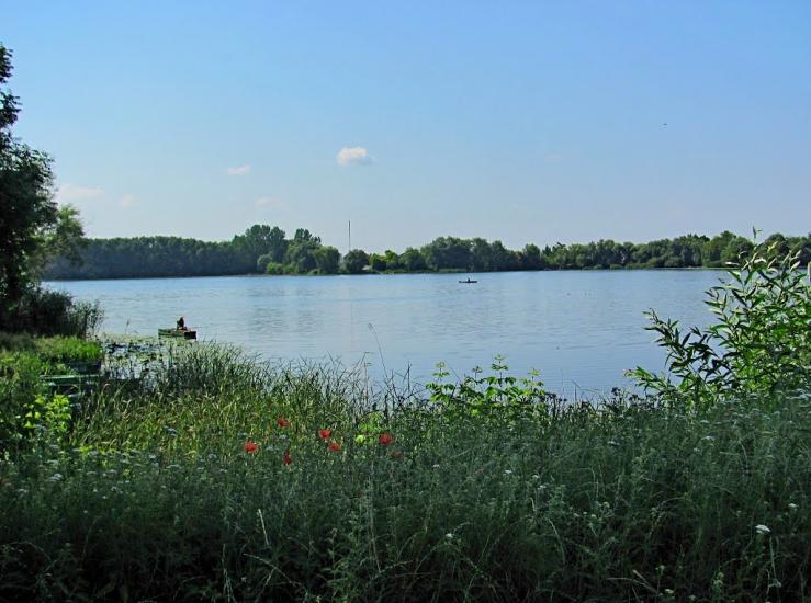 Млинів з panoramio.com - Mlyniv