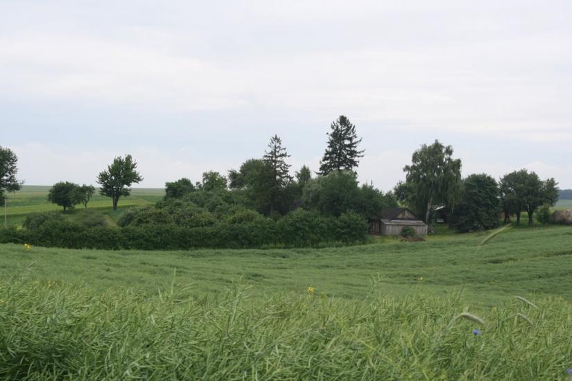 Острожець з panoramio.com - Острожец