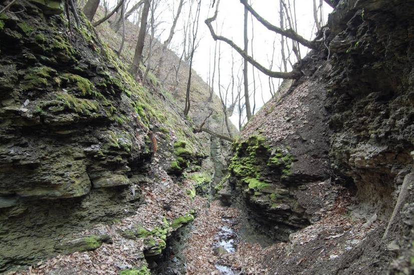 Кормань з panoramio.com - Кормань