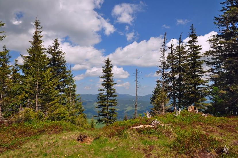 Кривопілля з panoramio.com - Кривопілля