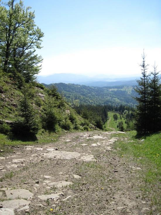 Завийка з panoramio.com - Zavyyka