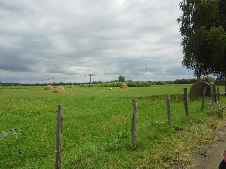 Сошники з panoramio.com - Сошники