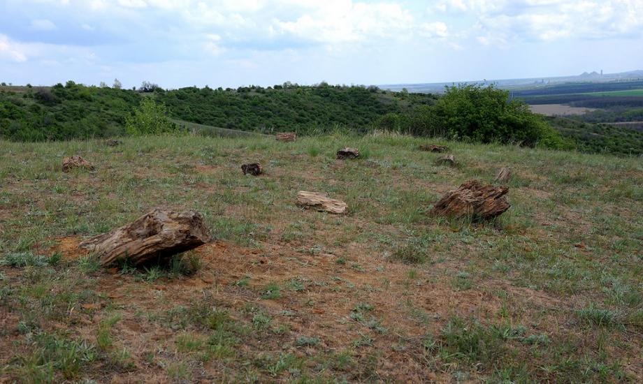 Олександро-Калинове з panoramio.com - Oleksandro-Kalynove