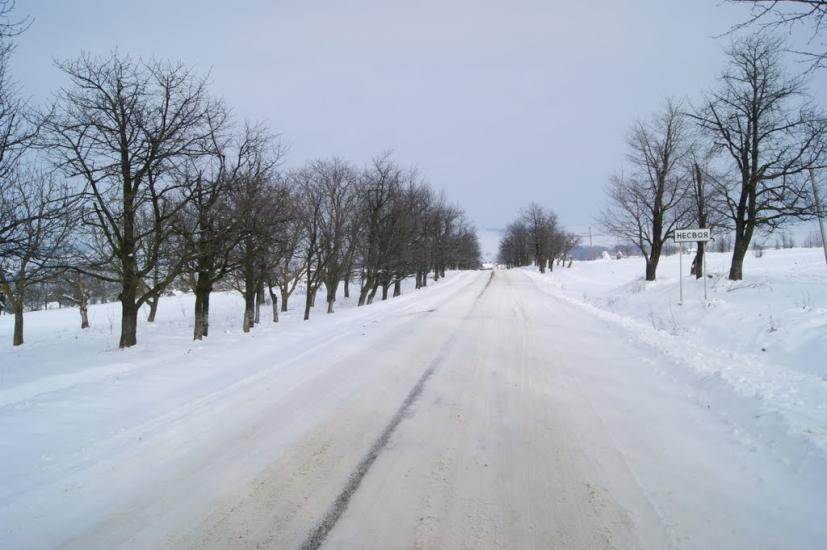 Несвоя з panoramio.com - Nesvoya