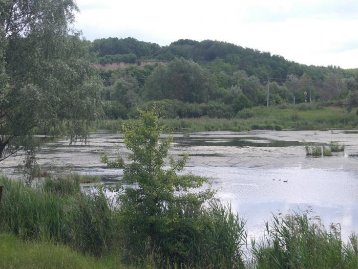 Ходосівка з panoramio.com - Ходосовка
