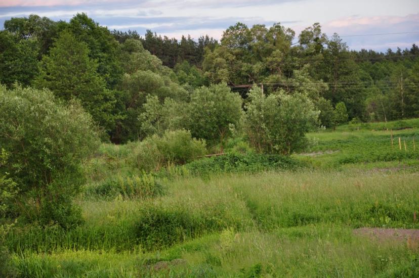 Рудня-Шпилівська з panoramio.com - Рудня-Шпилевская