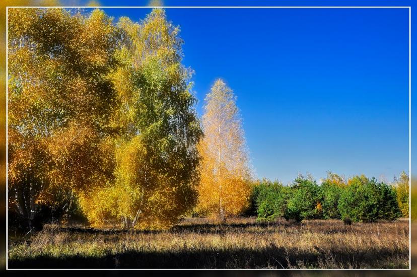 Пологи-Низ з panoramio.com - Пологи-Низ