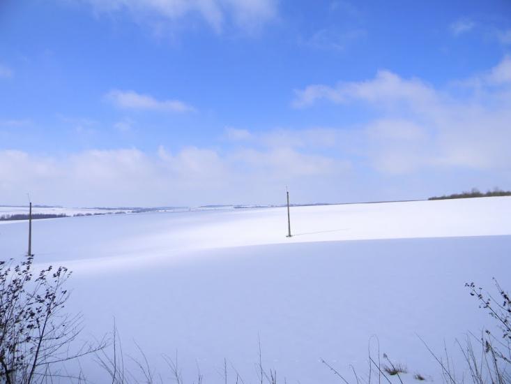 Скаржинці з panoramio.com - Скаржинці