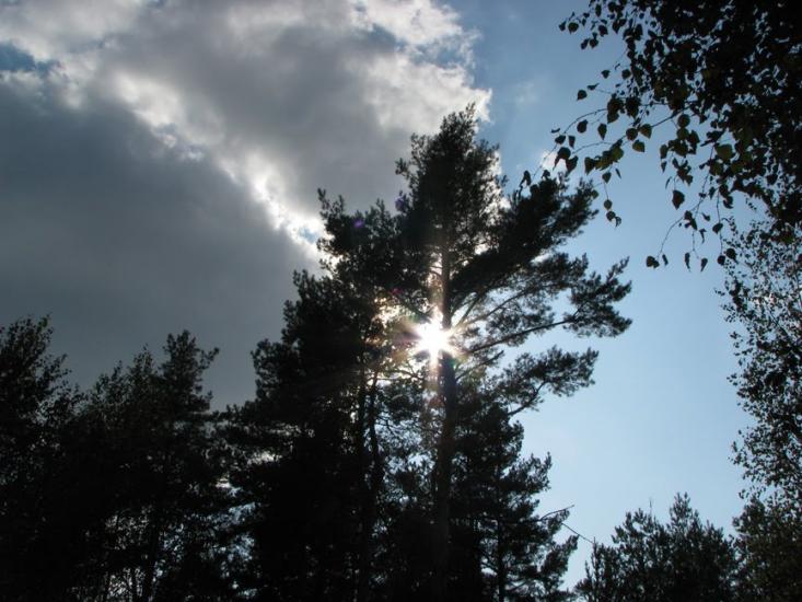 Жирки з panoramio.com - Жирки