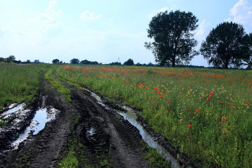 Підлисся з panoramio.com - Підлисся