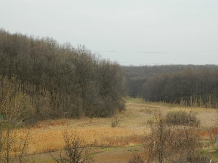 Високий з panoramio.com - Высокий