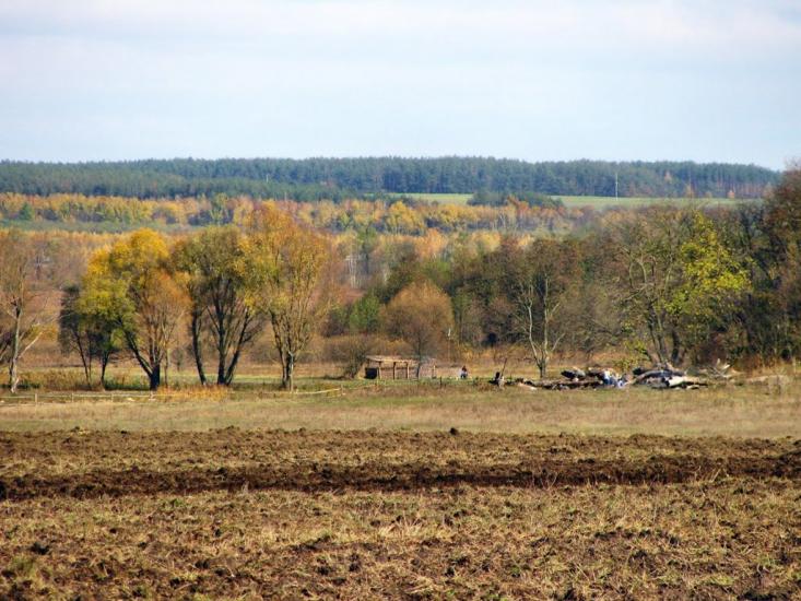 Заїзд з panoramio.com - Заезд