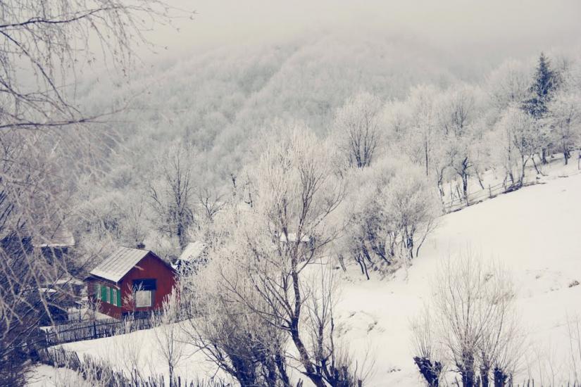 Пасічна з panoramio.com - Пасічна