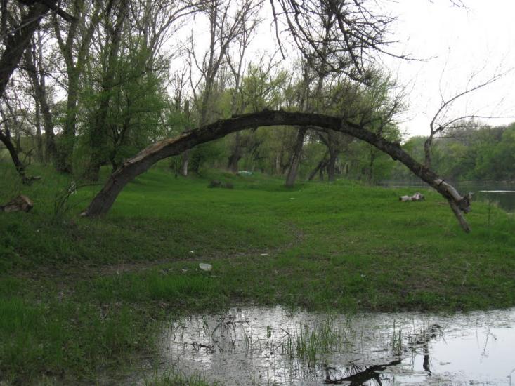 Пискунівка з panoramio.com - Pyskunivka