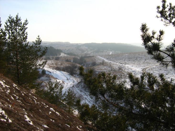 Крива Лука з panoramio.com - Крива Лука