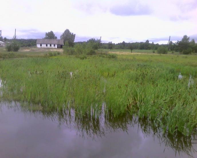 Костянтинівка з panoramio.com - Константиновка