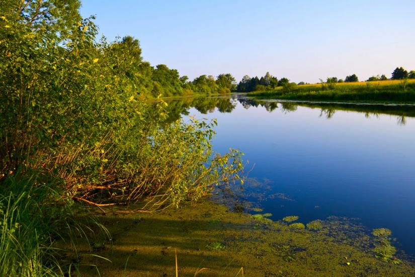 Нові Млини з panoramio.com - Новые Млины