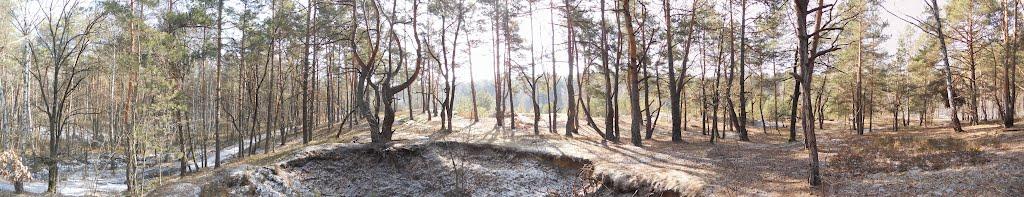 Турійськ з panoramio.com - Турийск
