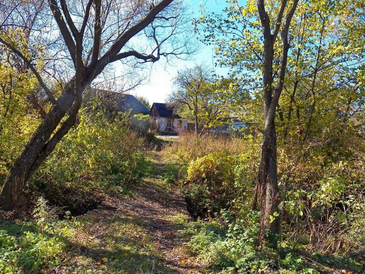 Данилове з panoramio.com - Данилово