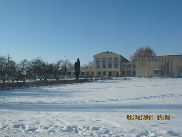 Дібрівка з panoramio.com - Дібрівка