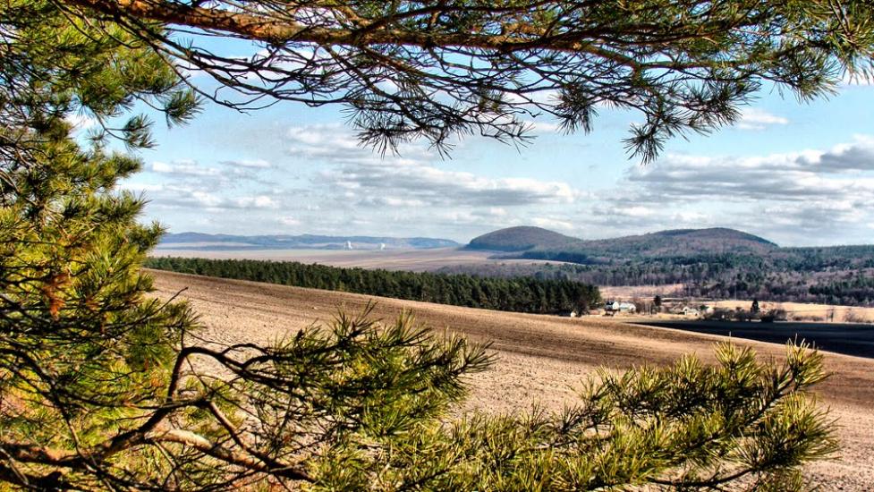 Черемошня з panoramio.com - Черемошня