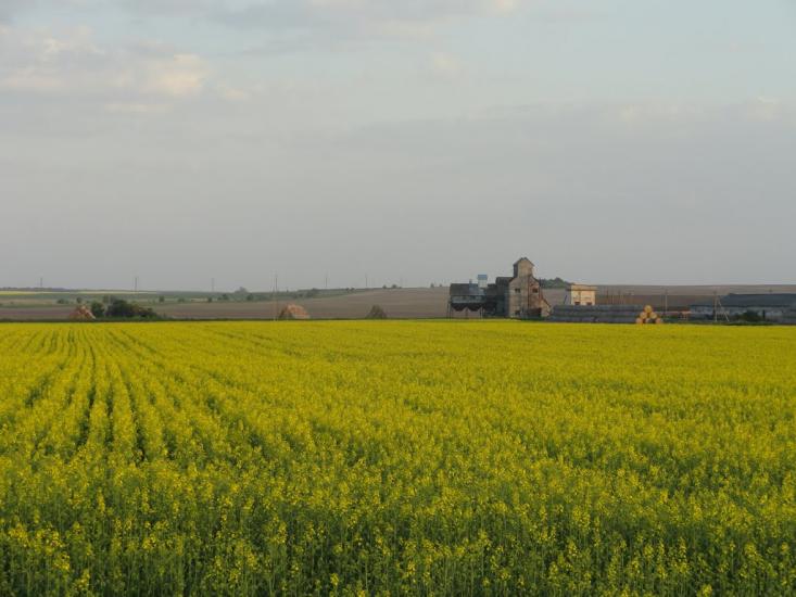 Маковичі з panoramio.com - Маковичі