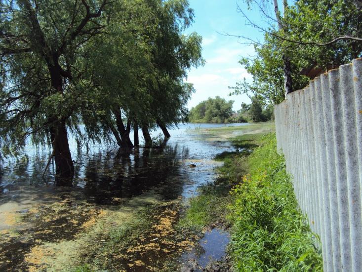 Карпилівка з panoramio.com - Карпилівка