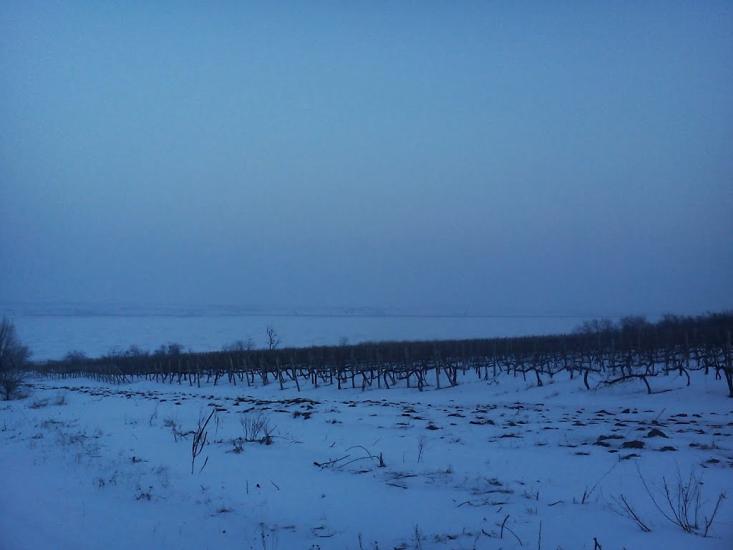 Суворове з panoramio.com - Suvorove