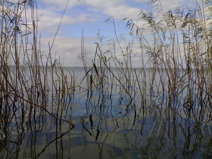 Нова Некрасівка з panoramio.com - Новая Некрасовка