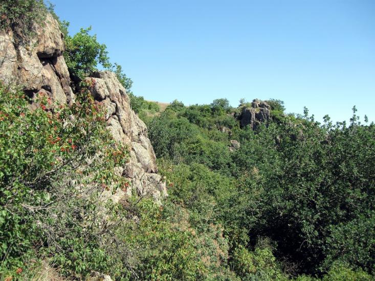 Куріпчине з panoramio.com - Kuripchyne