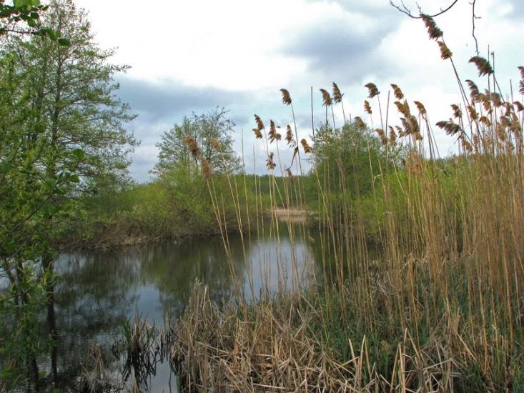 Литвинівка з panoramio.com - Литвиновка