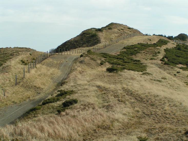 Бребоя з panoramio.com - Бребоя