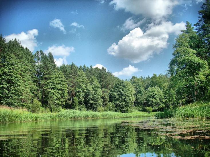 Березневе з panoramio.com - Березневе