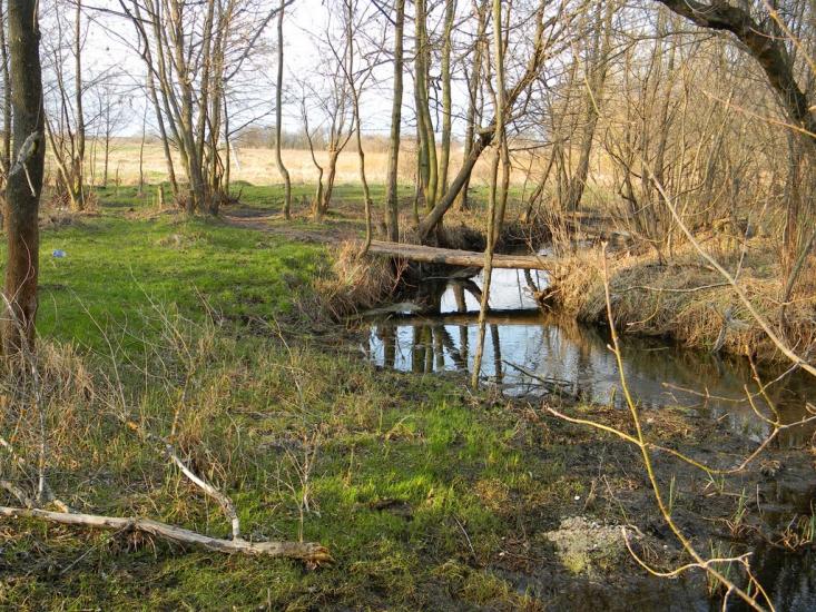Івангород з panoramio.com - Ивангород