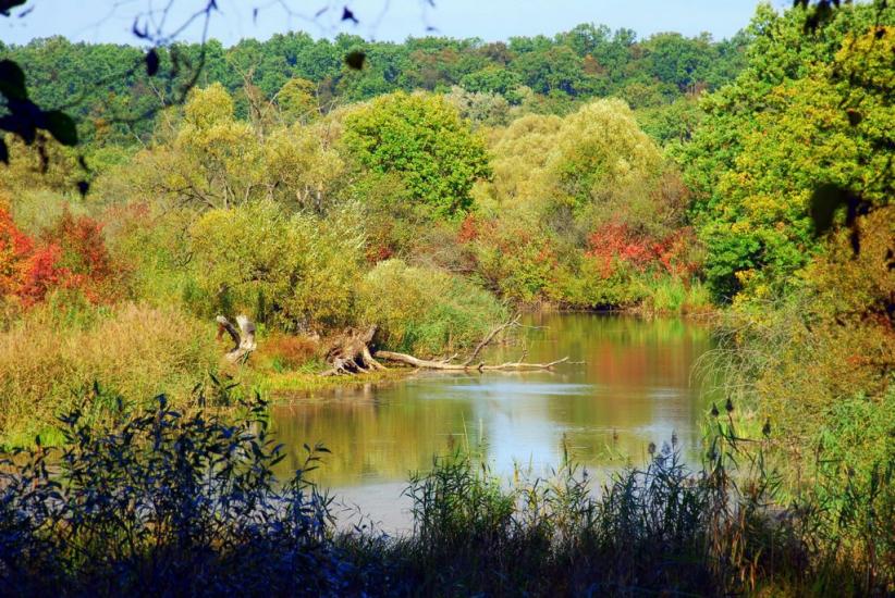 Хотин з panoramio.com - Хотын