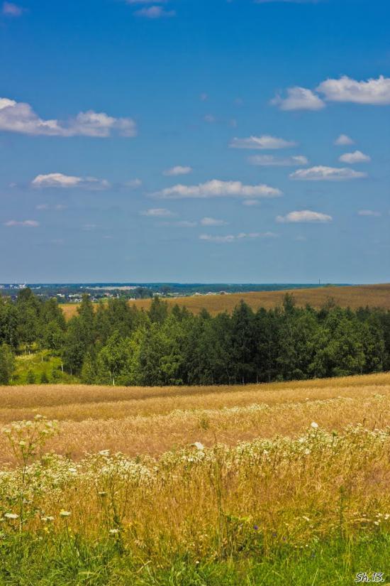 Кустин з panoramio.com - Кустин